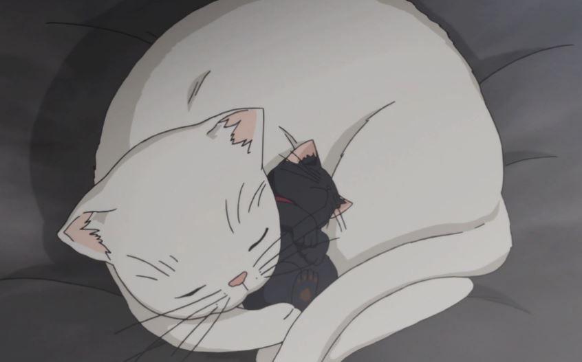 Các con mèo trong Sukitte Ii na yo. là những con vật nuôi anime dễ thương nhất!